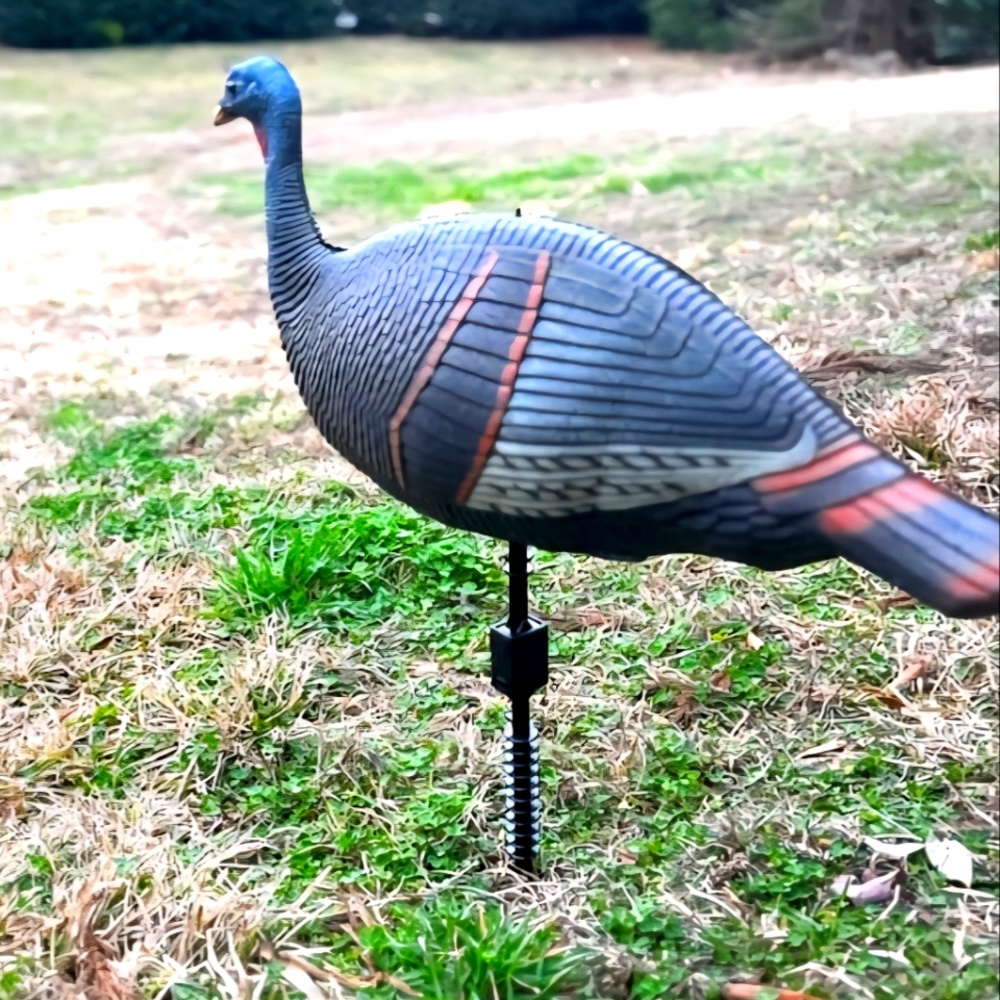 Ultra realistic foam Hen turkey decoy
